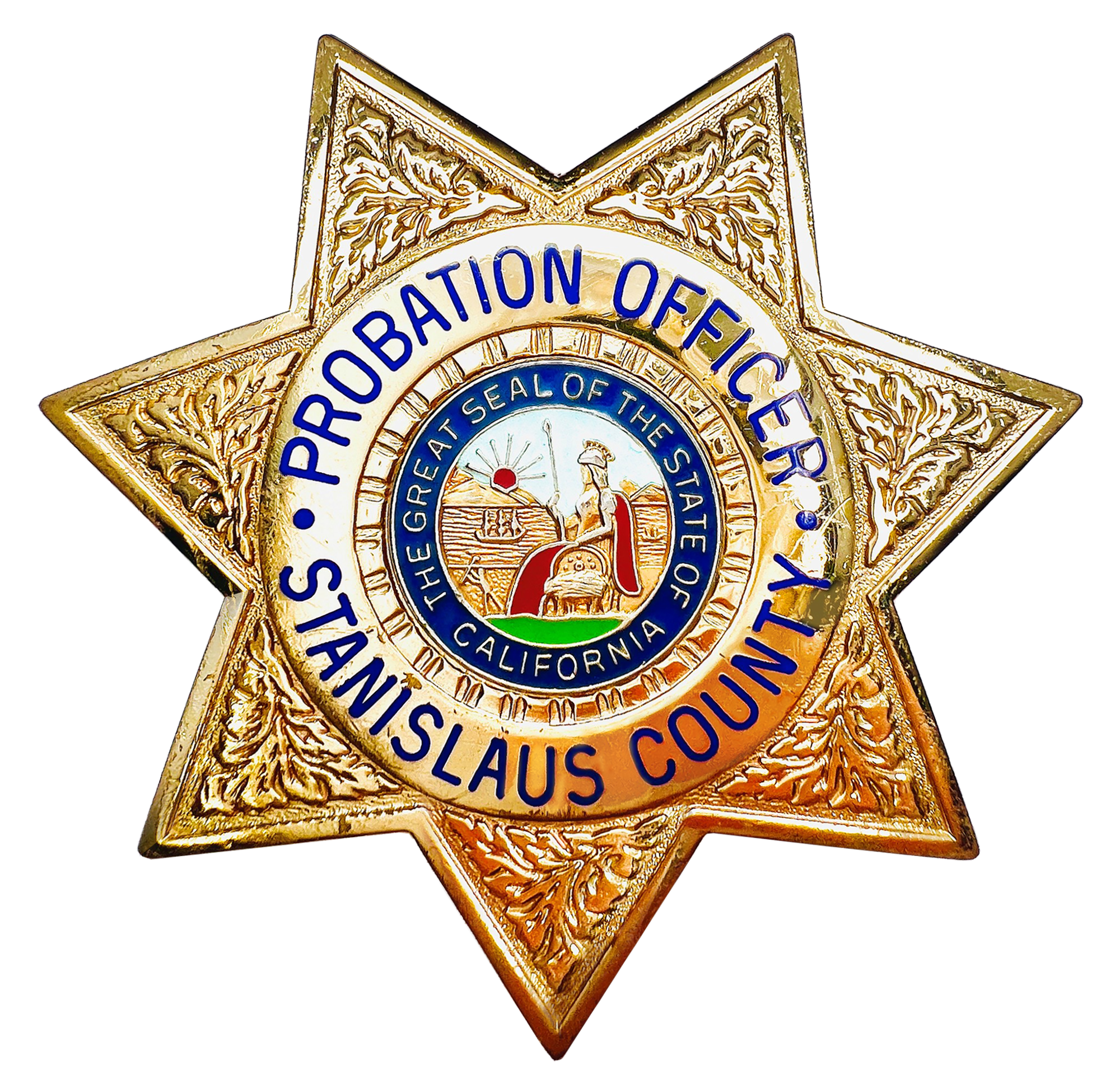 Probation Gold Badge